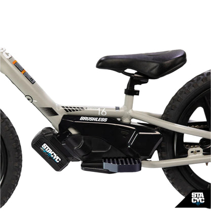 Stacyc Brushless Motor